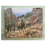 Bighorn Sheep Print On Canvas