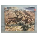 Mule Deer Print On Canvas