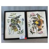 Pair Of Arthur Singer Bird Prints, 9 1/2ï¿½ x 13ï¿½