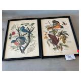 Pair Of Arthur Singer Bird Prints, 9 1/2ï¿½ x 13ï¿½
