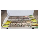 (24) Assorted Arrows