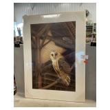 ï¿½Star Barn Owlsï¿½ PA Game Commission Print