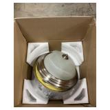 Ceiling Light Fixtures