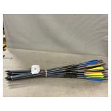(12) Magnum Arrows