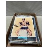 Boxing Programs & Publications