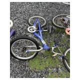 Schwinn Bicycle
