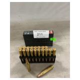 (20) Rounds Of 5.56 NATO Ammo
