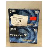 (10) Federal 12 Gauge Shotgun Shells