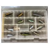 (12) Assorted Crank/Jerk Baits In Case