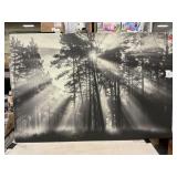ï¿½Sunbeams Through Black White Forestï¿½ Wall Art