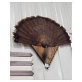 Wild Turkey Tail Fan & Beard Mount