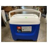 Igloo Cooler