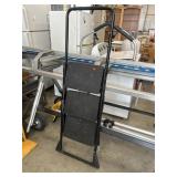 COSCO Step Ladder