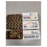 (66) Rounds 22LR Ammo