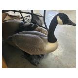 (4) Plastic Canadian Goose Hunting Decoys w/ Mesh