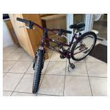 Pacific Quantum Bike