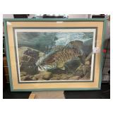 Framed Sealife Print