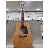 (1) Ariana Acoustic Guitar
