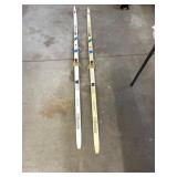 Kastle LN Cross Country Skis