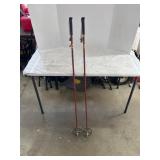 4 Ft. 2 In. Ski Poles with Grips