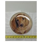 Cherished Dachshunds Eyes of Love