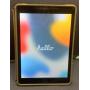 Apple iPad Air 2 16GB