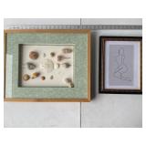 Recessed Frame Shells Wall Art, Pencil Drawing