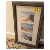 Framed Wall Pictures