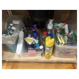 Contents Of Picture Cleaning Supplies