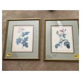 Framed Wall Floral Pictures