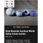 Back Mountain Auctions Winter Online Estate Auction