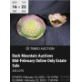 Back Mountain Auctions Mid-February Online Only Estate Auction