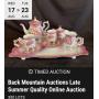 Back Mountain Auctions Late Summer Quality Online Auction