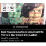 Back Mountain Auctions 1st Annual Into The New Year Holiday Online Auction