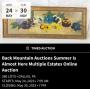 Back Mountain Auctions Summer Is Not Too Far Away Online Auction