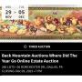 Back Mountain Auctions Multiple Estates Online Only