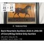 Back Mountain Auctions 2026 A Little Bit of Everything Online Only Auction