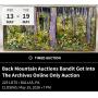Back Mountain Auctions Bandit Got Into The Archives Online Only Auction