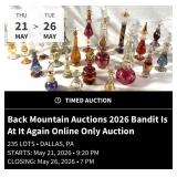 Back Mountain Auctions 2026 Bandit Is At It Again Online Only Auction
