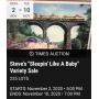 Steve's "Sleepin Like A Baby" Online Auction 