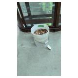 90+ Pounds Of Lincoln Pennies