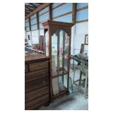 Mirrored Back Lighted Curio Cabinet With Glass