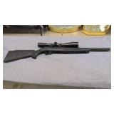 Ruger Model 10/22 Carbine Rifle With Bushnell