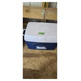 Coleman Cooler
