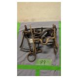 Early Horse Bridal Tag States Csa Cannot Find Any