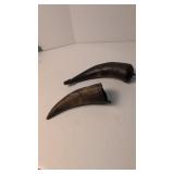 Pair Of Antique Powder Horns 7.5 In And 10 In