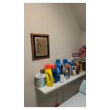Contents Of Laundry Room Picture Frames Trash