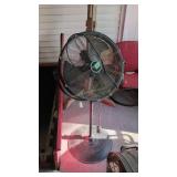 Pedestal fan