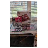 Dale Earnhardt Jr racing items and checker shot