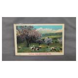 Postcard greenwood Delaware greetings from